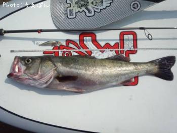 �����Х�