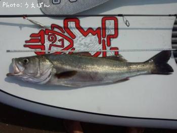 �����Х�