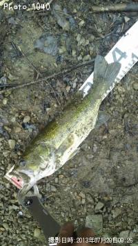 �֥�å��Х�