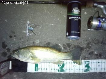 �֥�å��Х�