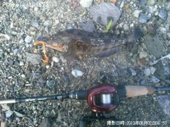 �����ʥ�