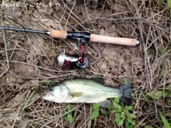 �֥�å��Х�