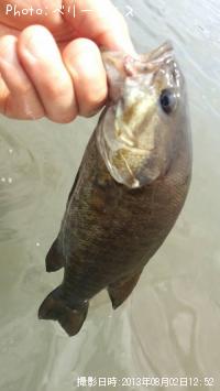 ¥¹¥â¡¼¥ë¥Þ¥¦¥¹¥Ð¥¹