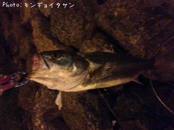 �����Х�