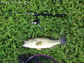 �֥�å��Х�