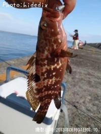 �����ϥ�