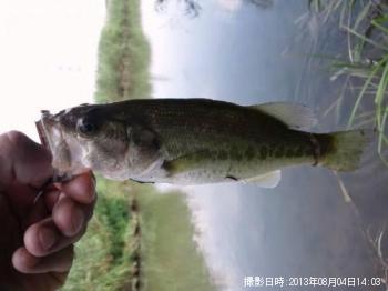 �֥�å��Х�