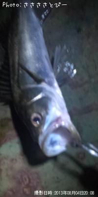 �����Х�