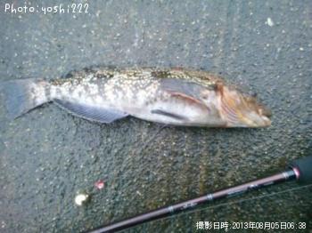 �����ʥ�