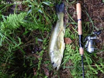 �֥�å��Х�