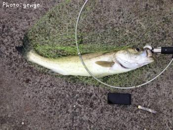 �����Х�