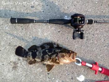 �����Υ���Х�