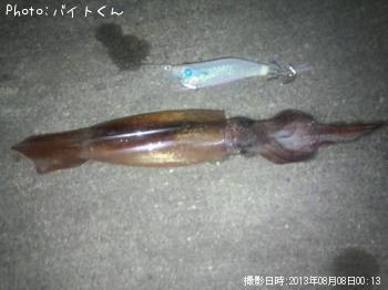 ¥¹¥ë¥á¥¤¥«