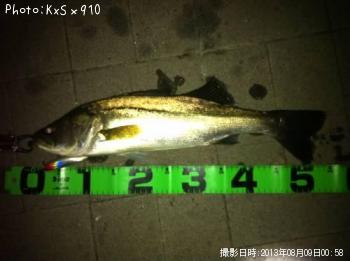 �����Х�