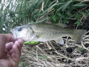 ¥Ö¥é¥Ã¥¯¥Ð¥¹