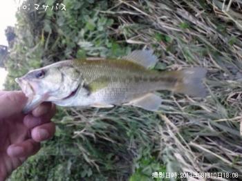 �֥�å��Х�