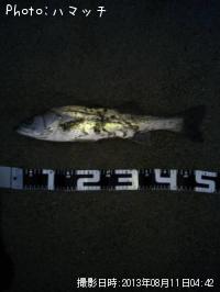 �����Х�