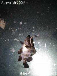 ��Х�