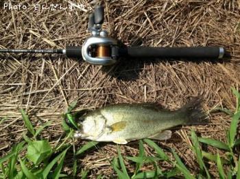 �֥�å��Х�