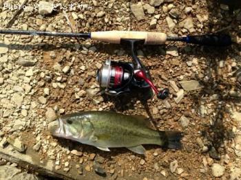 �֥�å��Х�