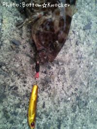 �������ϥ�