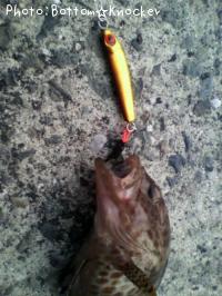 �������ϥ�