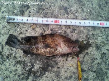 �������ϥ�