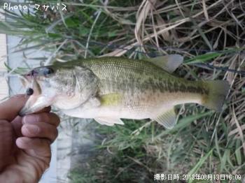 �֥�å��Х�