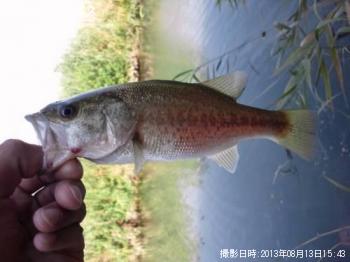 �֥�å��Х�