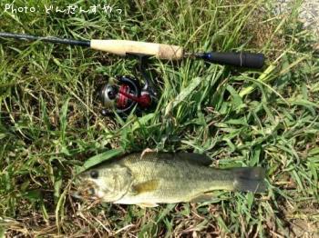 �֥�å��Х�