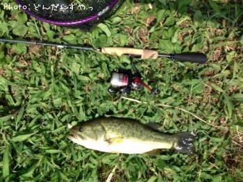 �֥�å��Х�