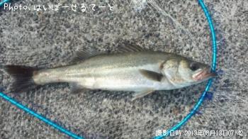 �����Х�