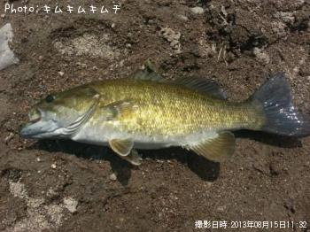 ¥¹¥â¡¼¥ë¥Þ¥¦¥¹¥Ð¥¹