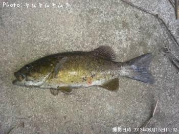 ¥¹¥â¡¼¥ë¥Þ¥¦¥¹¥Ð¥¹