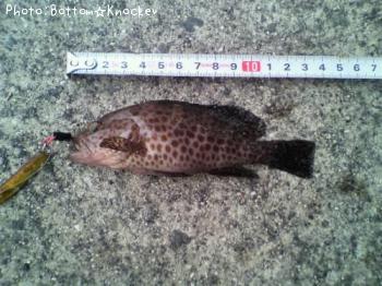 �������ϥ�