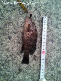 �������ϥ�