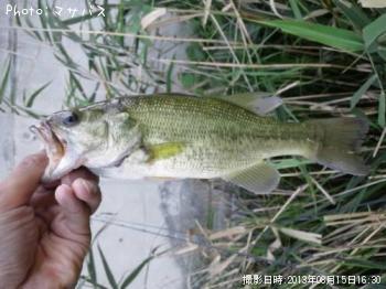 �֥�å��Х�