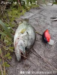 �֥�å��Х�