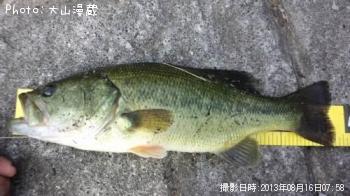 �֥�å��Х�