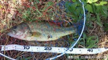 �֥�å��Х�