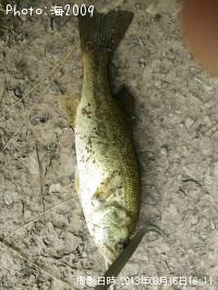 �֥�å��Х�