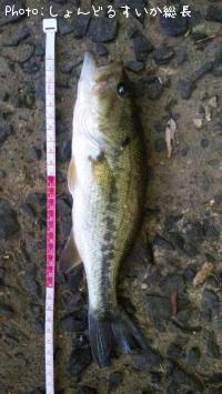 �֥�å��Х�