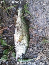 �֥�å��Х�