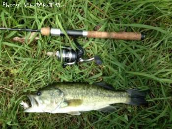 ¥Ö¥é¥Ã¥¯¥Ð¥¹