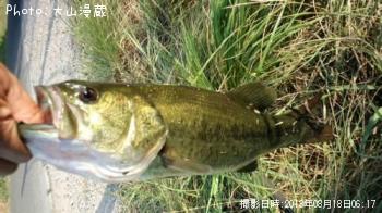 �֥�å��Х�