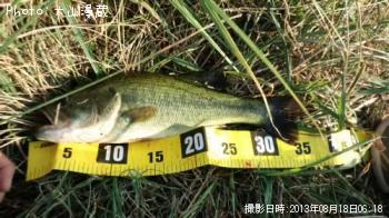 �֥�å��Х�