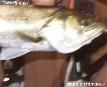 �����Х�