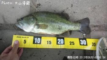 �֥�å��Х�