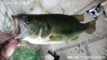 �֥�å��Х�