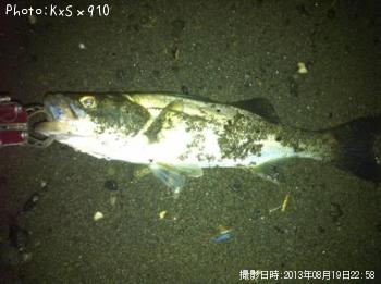 �����Х�